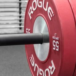 Rogue Fitness Monster Lite Plate Storage Channel Pair