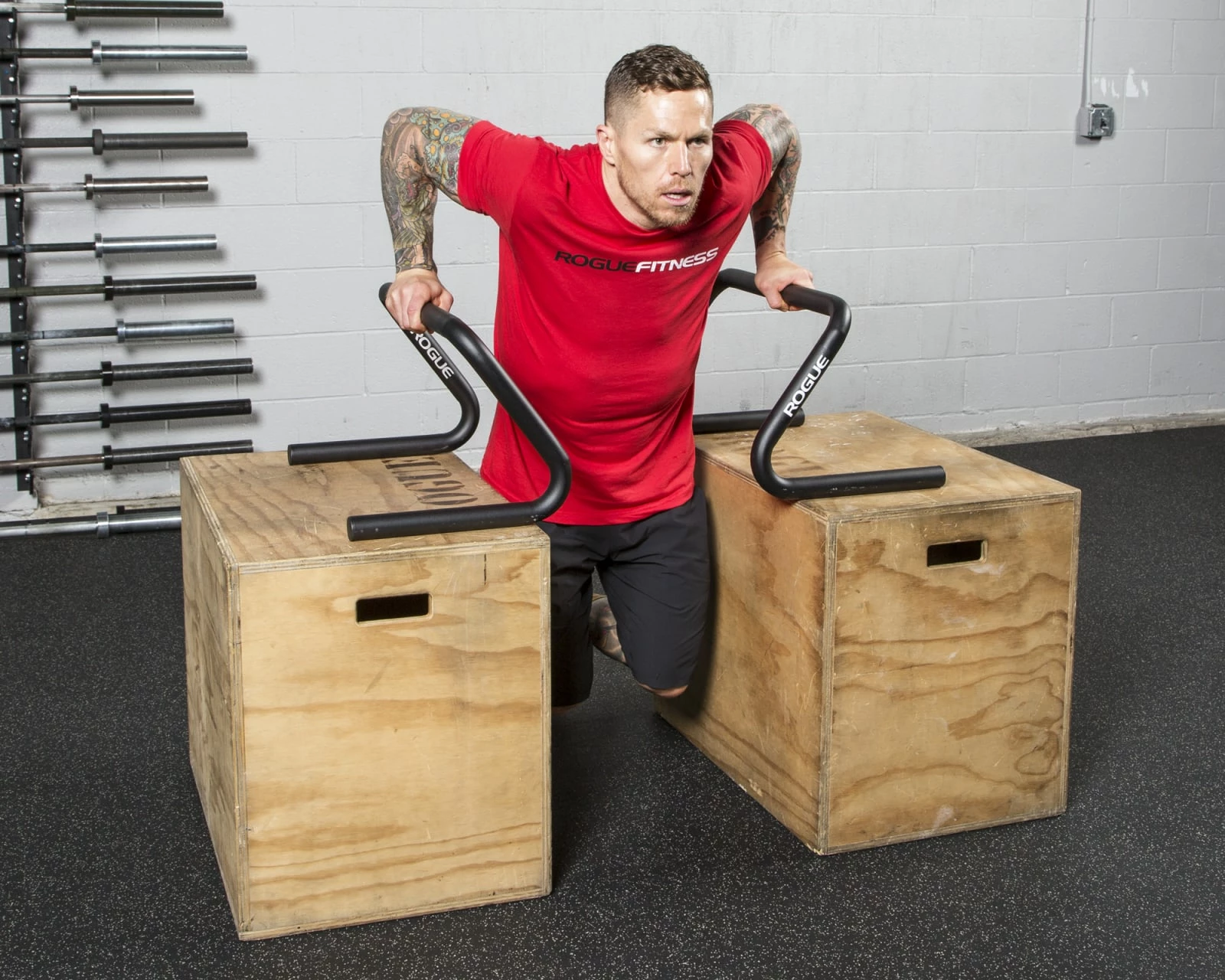 Rogue Fitness Rogue Formed Parallette Set - Image 5