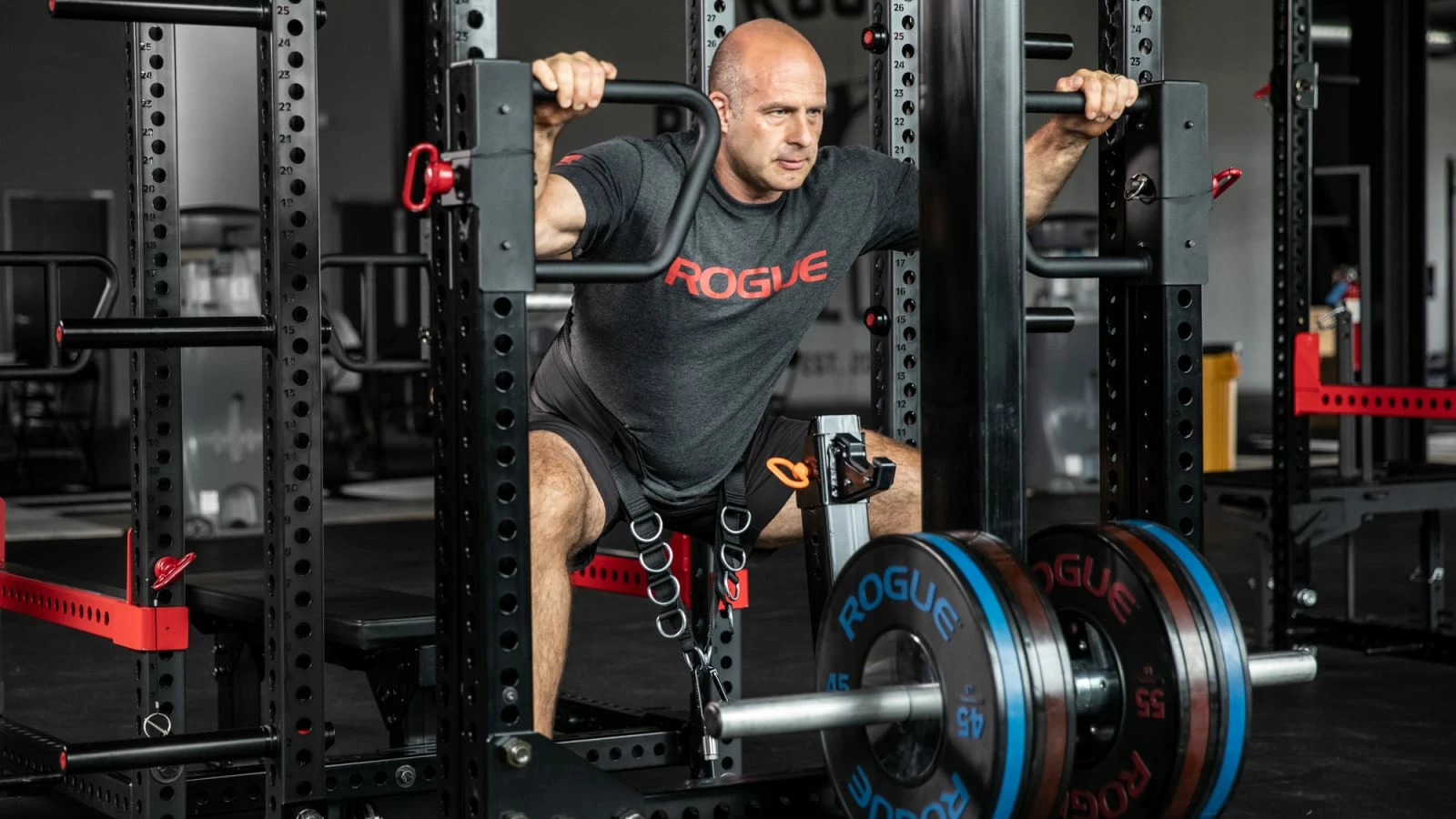 Rogue Fitness Rogue Multi Belt - Image 2