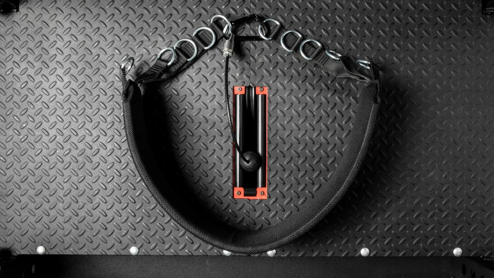 Rogue Fitness Rogue Multi Belt - Image 4
