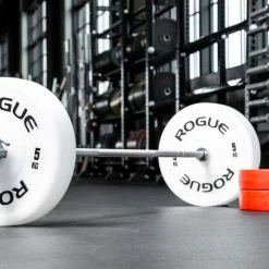 Rogue Fitness Rogue Technique Plates
