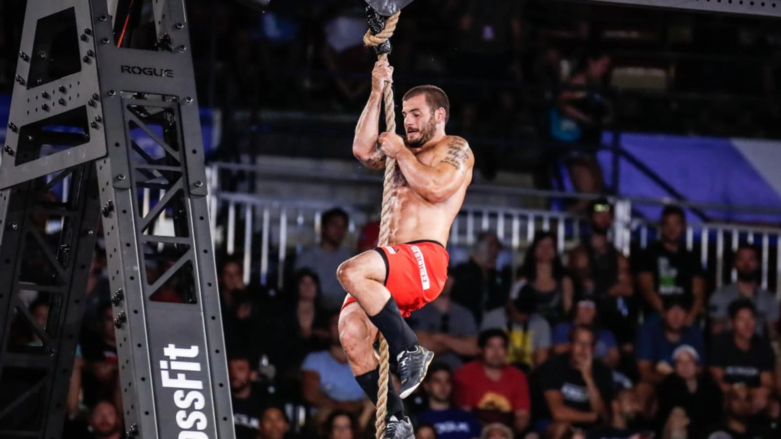 Rogue Fitness Climbing Ropes