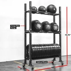 Rogue Fitness 3-Tier Mass Storage System - 43"